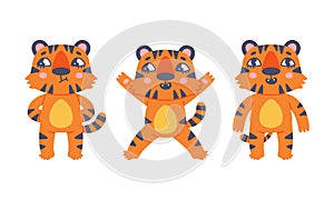 Cute baby tigers in various poses set. Funny orange striped jungle wildcat cartoon vector illustration