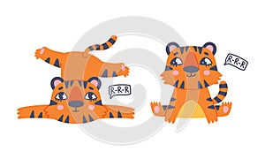 Cute baby tigers in various poses set. Funny orange striped jungle wildcat lying and sitting cartoon vector illustration