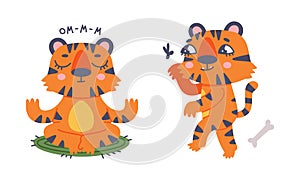 Cute baby tigers in various poses set. Funny orange striped jungle wildcat meditating and walking cartoon vector