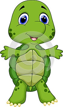 Cute baby turtle cartoon