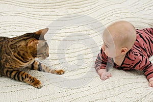 Cute baby weared tiger jumpers looking at striped bengal cat lying together on bed. Kid and pet relationship concept