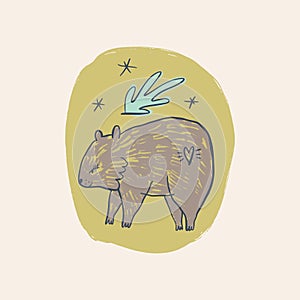 Cute baby wombat Australian animal cartoon doodle kids style drawing.