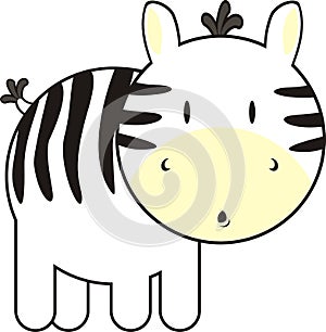 Cute baby zebra
