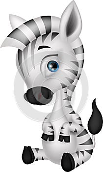 Cute baby zebra cartoon