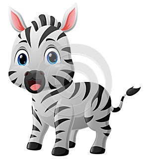 Cute baby zebra cartoon posing