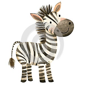Cute baby zebra watercolor illustration