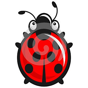 Cute babyish Ladybug - baby illustration photo