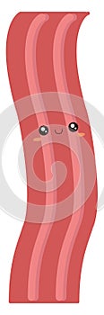 Cute bacon, illustration, vector