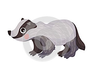 Cute Badger as Carnivore Forest Animal Vector Illustration