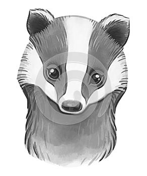 Cute badger portrait, watercolor forest animal face. Baby room decor and nursery poster.