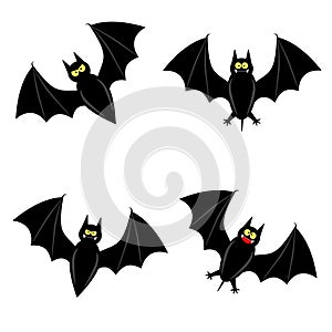 Cute bat