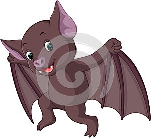 Cute bat cartoon