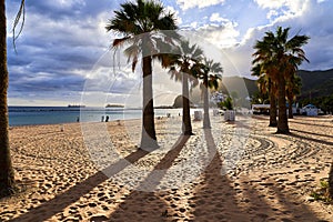 Cute beach with palm trees in the background light. The concept of recreation in warm countries