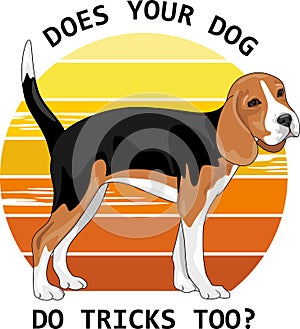 Cute beagle. Does your dog do tricks too