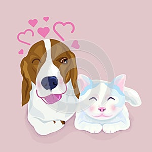 Cute beagle dog hug a cat, both express shy emotion