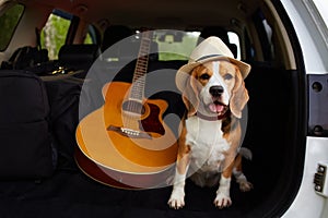 A cute beagle dog in a straw hat is sitting in the trunk of a car.