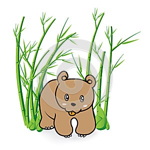 Cute Bear in Bamboo Forrest 04