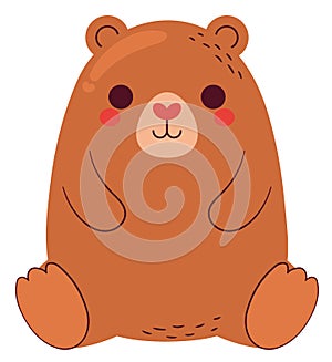 cute bear design