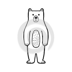 Cute bear. Funny bear outline coloring page for kids. Doodle, sketch cartoon character photo