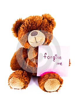 Cute bear toy asks to forgive him.