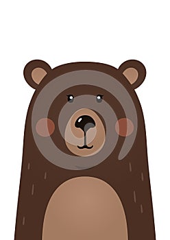 Cute bear. Woodland forest animal.