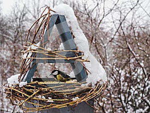 Cute, beautiful birds in a wicker feeder