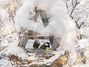 Cute, beautiful birds in a wicker feeder