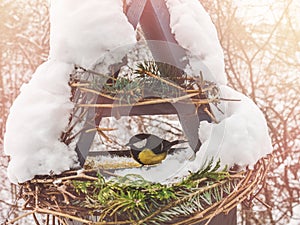 Cute, beautiful birds in a wicker feeder