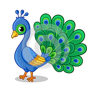 Cute beautiful blue peacock on a white background. Vector illustration with a bird