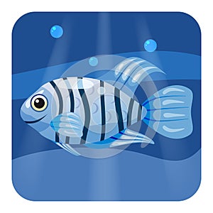 Cute beautiful blue tropical fish, on sea background, ocean, vector, isolated, cartoon style