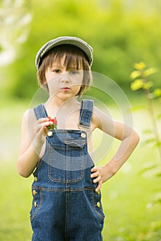 Cute beautiful child, boy, eating strawberries and in the park