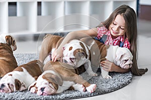 Cute beautiful little girl playing with puppies of English bulldog
