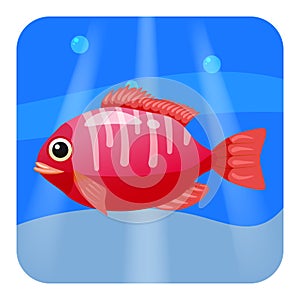 Cute beautiful red tropical fish, on sea background, ocean, vector, isolated, cartoon style