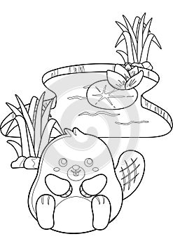 Cute Beaver Animal Coloring Pages A4 for Kids and Adult