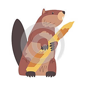 Cute Beaver Gnawing Tree Branch, Brown Rodent Wild Mammal Animal Cartoon Vector Illustration