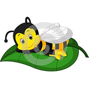 Cute Bee cartoon