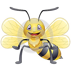 cute bee cartoon on white background