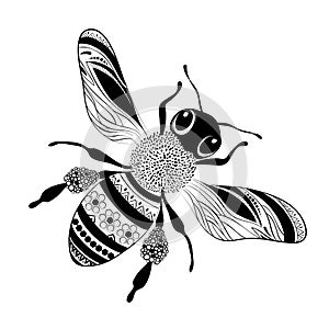 Cute bee, hand drawing illusstration, vector EPS 10