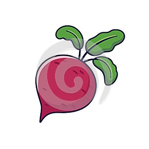 Cute beet root cartoon icon illustration. Food vegitable flat icon concept isolated