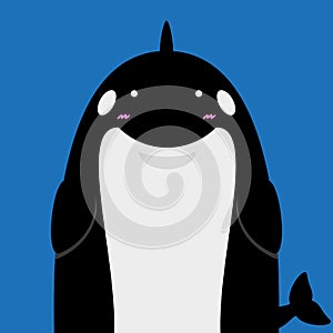 Cute big fat killer whale orca