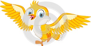 Cute bird cartoon flying