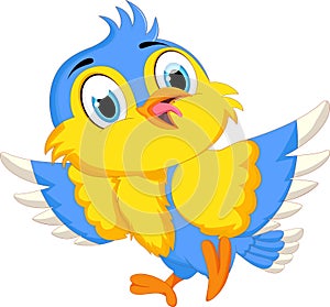 Cute bird cartoon