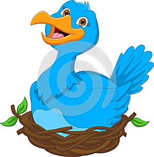 cute bird cartoon in nest