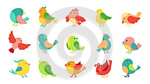 Cute bird cartoon set colorful cute little flat