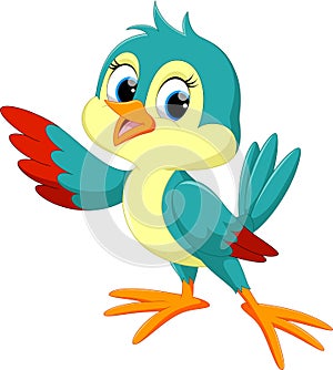 Cute bird cartoon