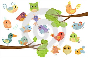 Cute bird characters set, cute colorful cartoon birds flying, singing, sitting on the branch vector Illustrations on a