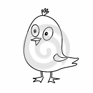 Cute bird drawing and white background