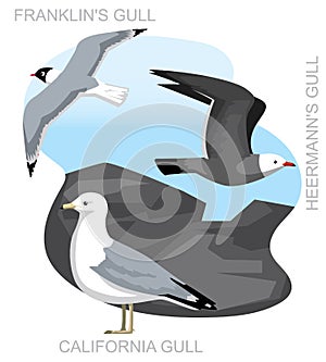 Cute Bird Gull Seagull California Set Cartoon Vector