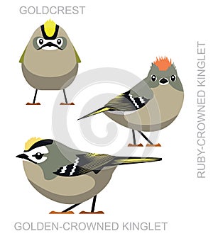 Cute Bird Kinglet Goldcrest Set Cartoon Vector