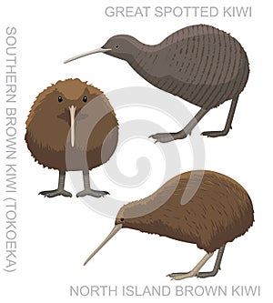 Cute Bird Kiwi Set Cartoon Vector